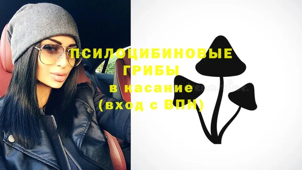 твердый Богородицк