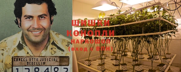 твердый Богородицк