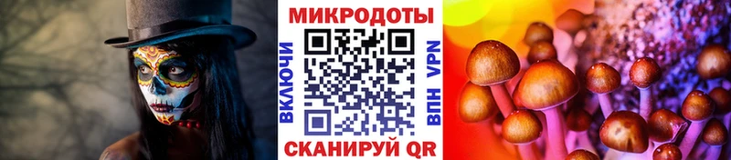 Псилоцибиновые грибы Magic Shrooms  дарнет шоп  Бикин 